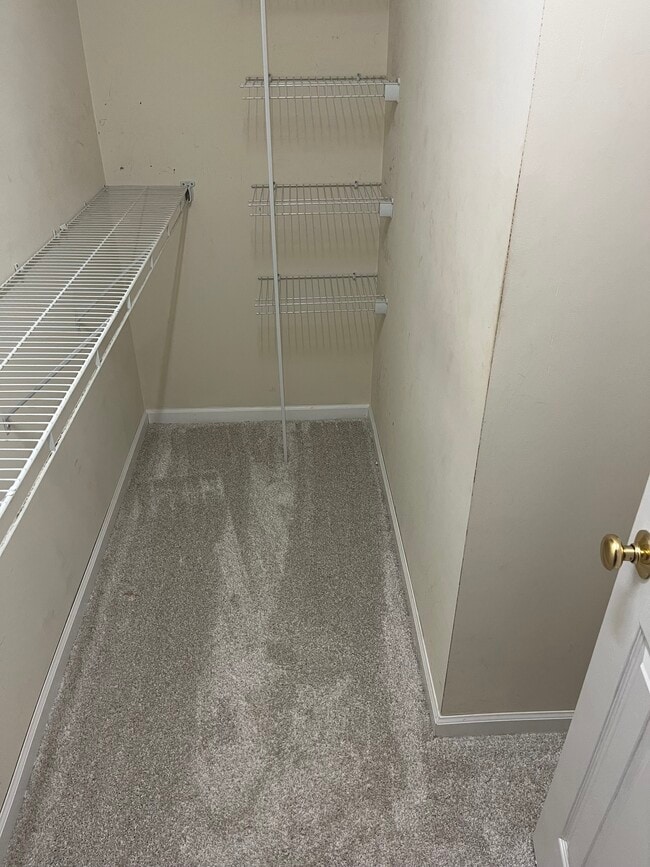 Masterbed Open Closet - 166 Larck Crest Ln