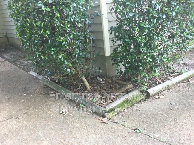 Building Photo - 7019 Shadow Oaks Dr