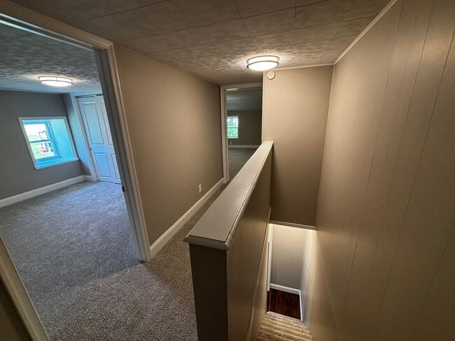 Building Photo - Newly remodeled 3+ bedroom