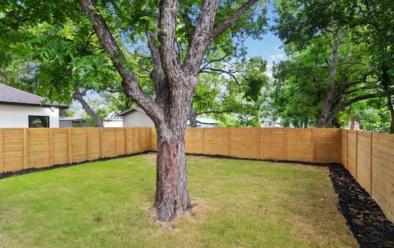 Building Photo - 237 Carle Ave