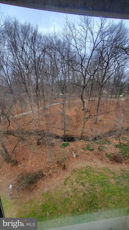 Building Photo - 8854 Spiral Cut