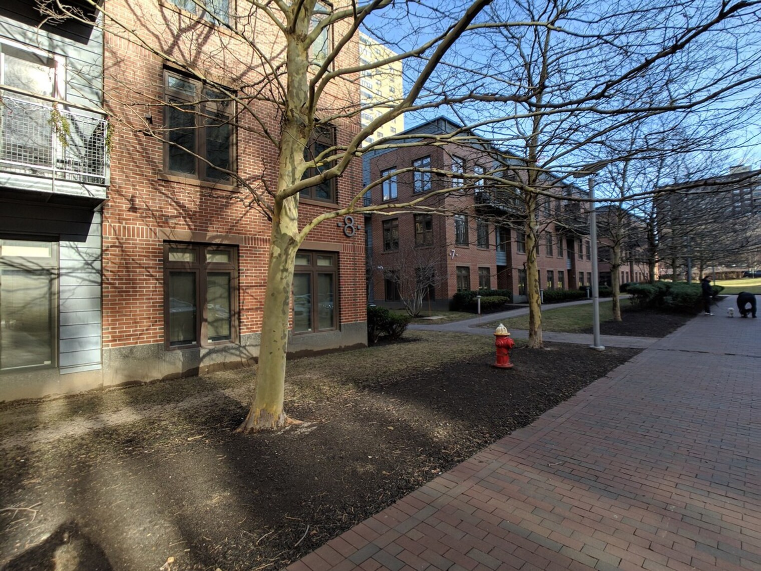 Building Photo - 175 Blossom St