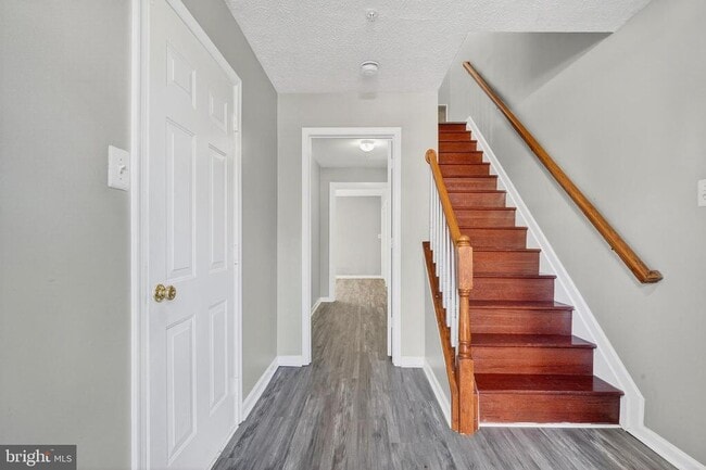 Building Photo - 3231 Halcyon Ct