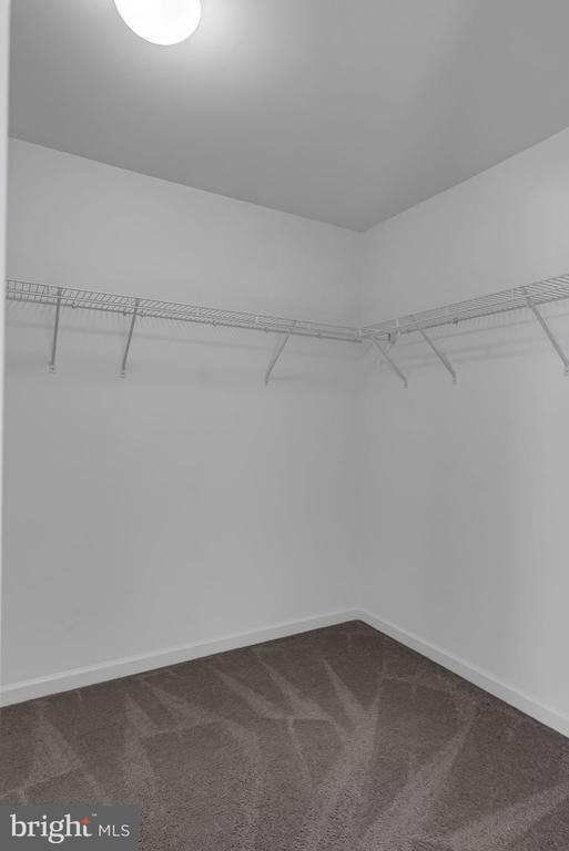 Building Photo - 40560 Aldie Springs Dr