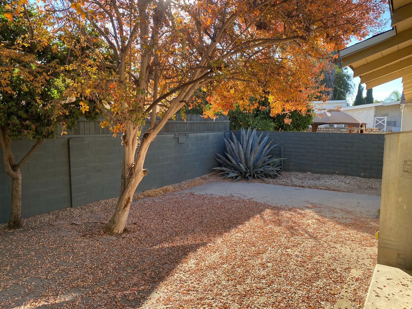 Building Photo - Charming Renovated 3-Bedroom Home in Tarza...
