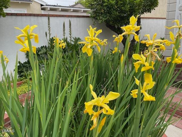 Building Photo - 4121 McFarlane Ave