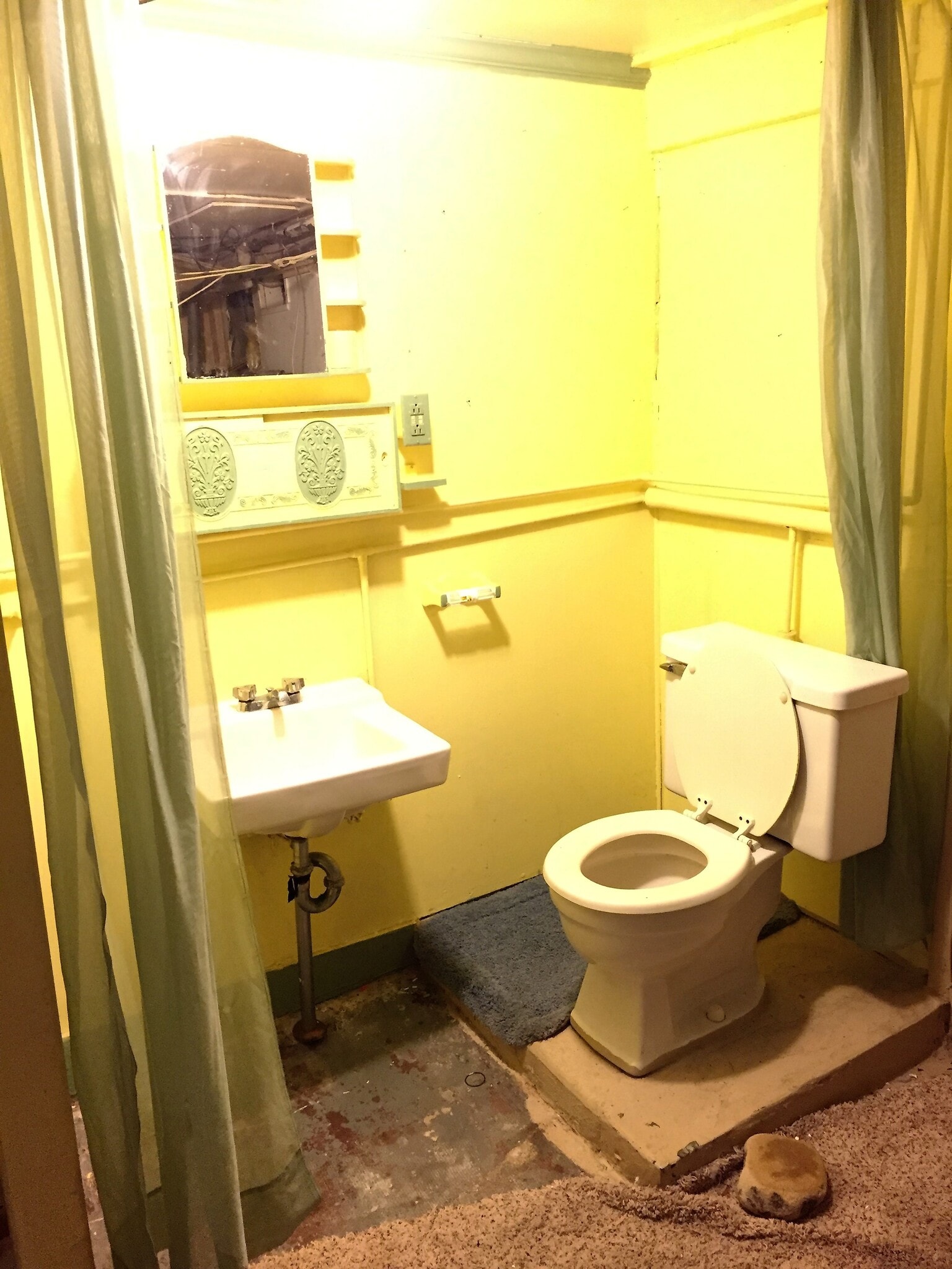 1st Floor Half Bath - 234 W Willow St