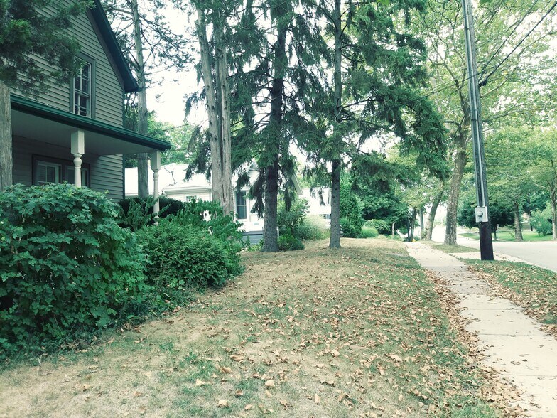 front yard - 311 Plymouth Ave NE