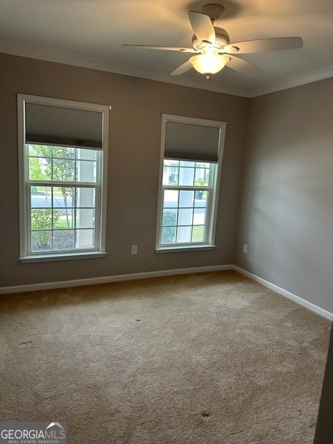 Building Photo - 1304 Bugle Ct