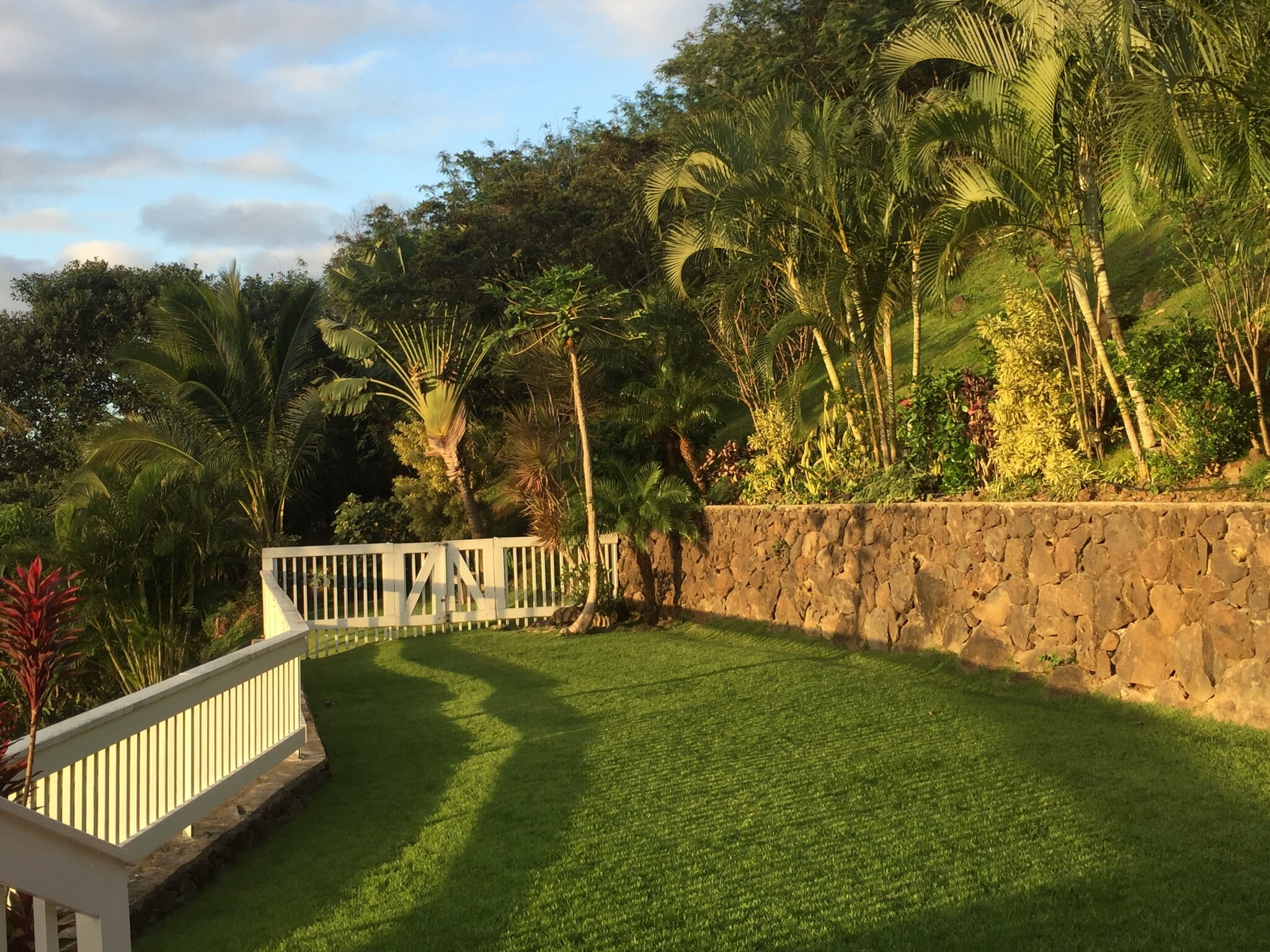Building Photo - 1005 Kailua Rd