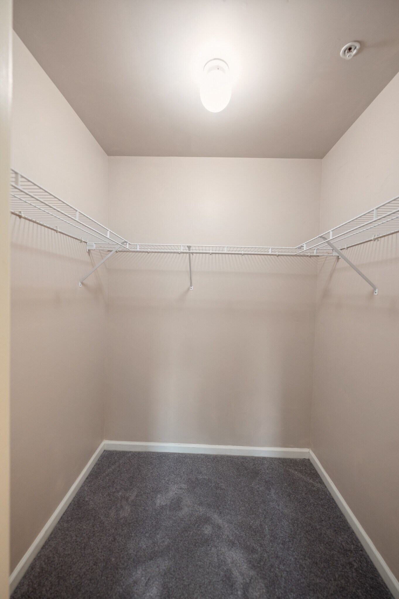 Building Photo - 1408 Black Walnut Dr