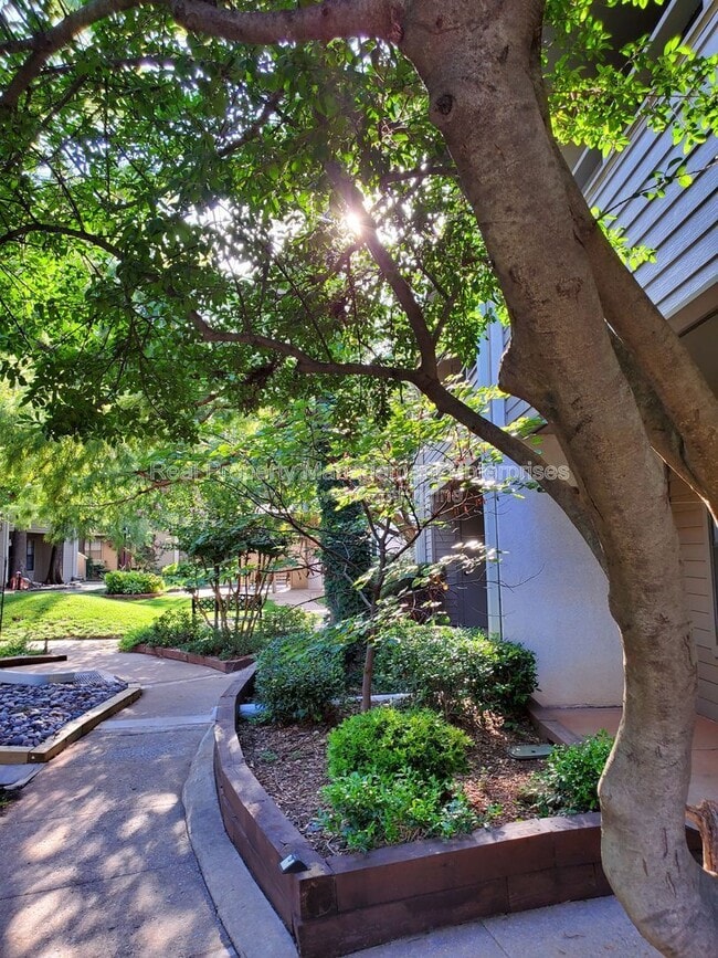 Building Photo - 11130 N Stratford Dr