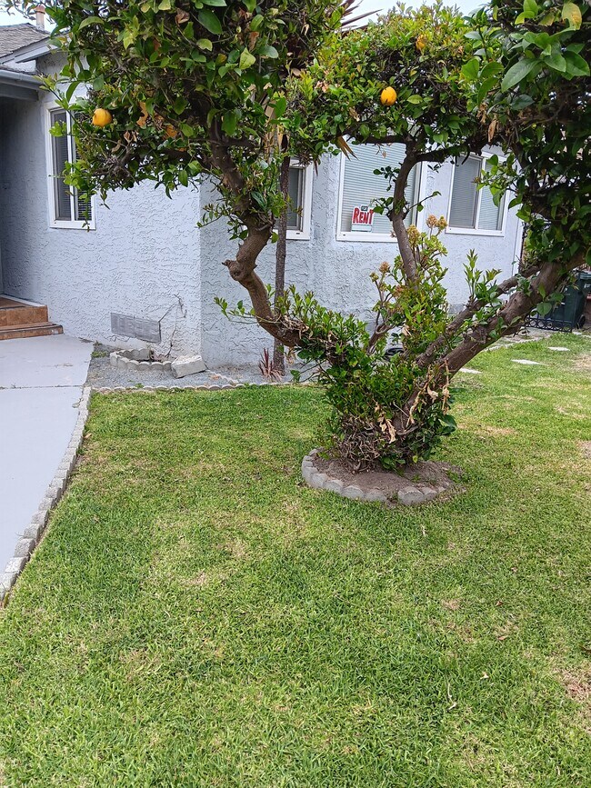 Building Photo - 3919 Fernwood Ave
