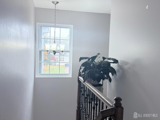 Building Photo - 42 Nelson Ave