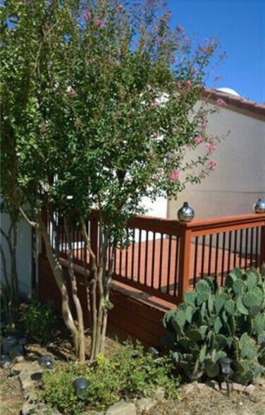 Building Photo - 3703 Mediterranean St