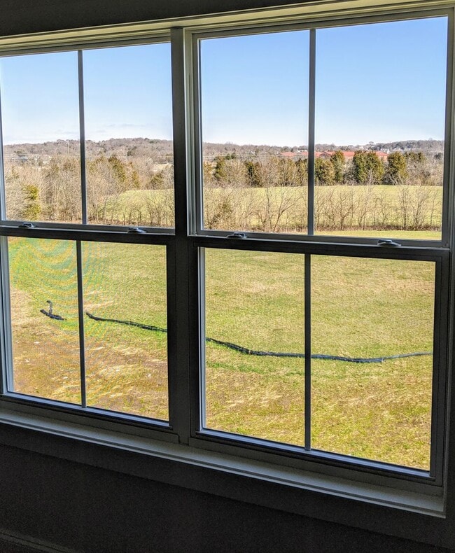 Building Photo - Luxury Townhome - Williamson County