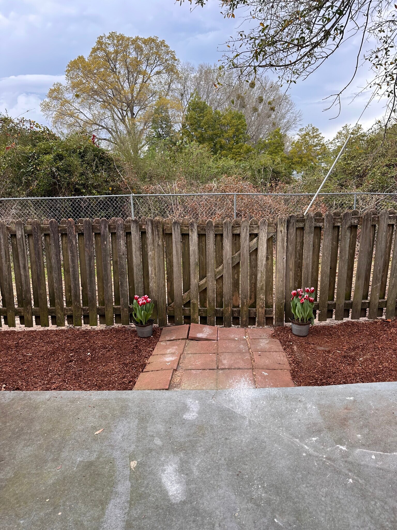 Building Photo - 106 Lullwater Dr