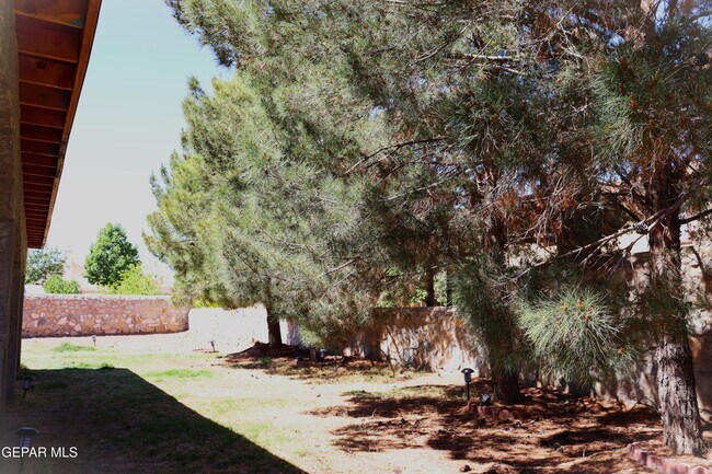Building Photo - 3329 Tierra Sara Ln