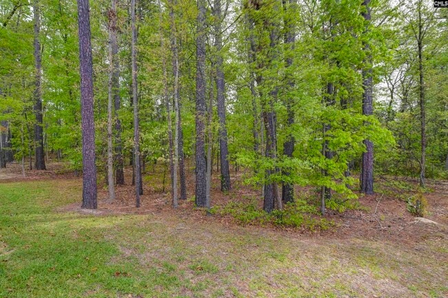 Building Photo - 825 Hidden Point Dr