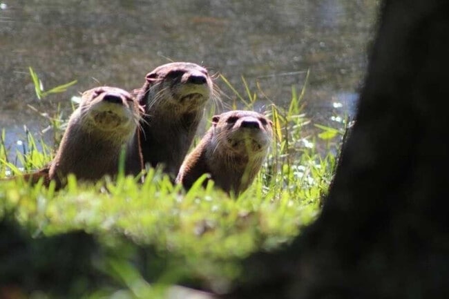 Building Photo - 5748 SE Riverboat Dr