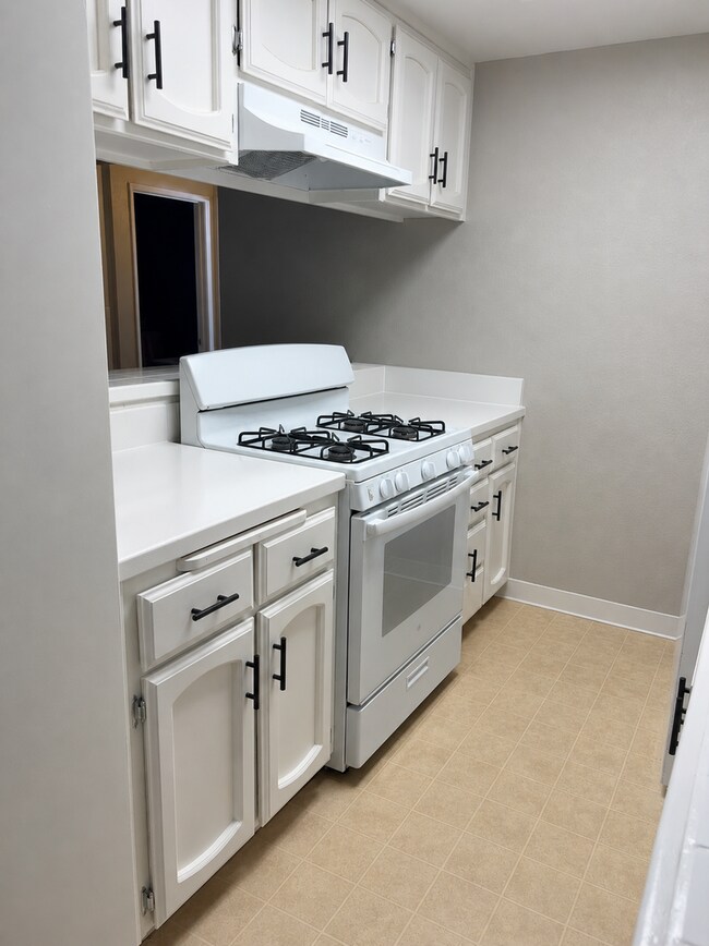 Building Photo - 2705 Villalovos Ct