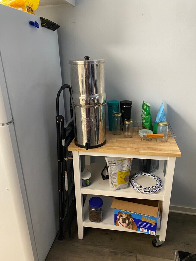 Building Photo - 217 Brendalwood Blvd