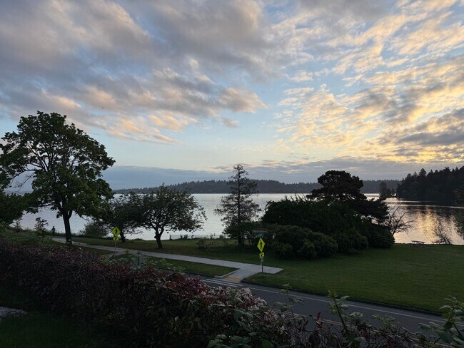 Building Photo - Lake Front House Seward Park