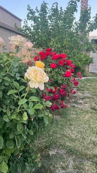 front gardan - 38238 La Loma Ave