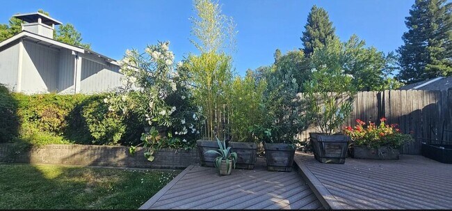 Building Photo - 3083 Funston Dr