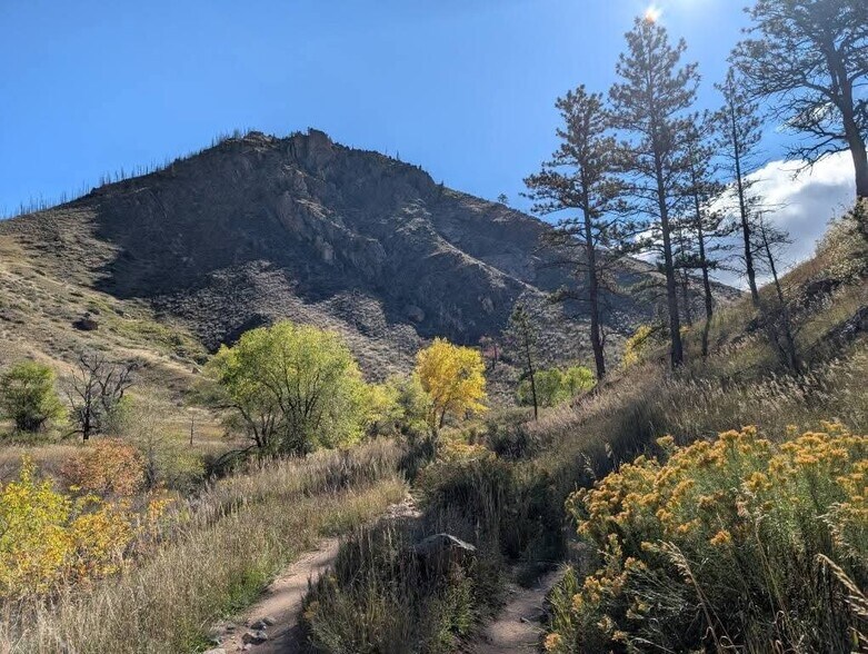 Building Photo - 10313 Poudre Canyon Rd