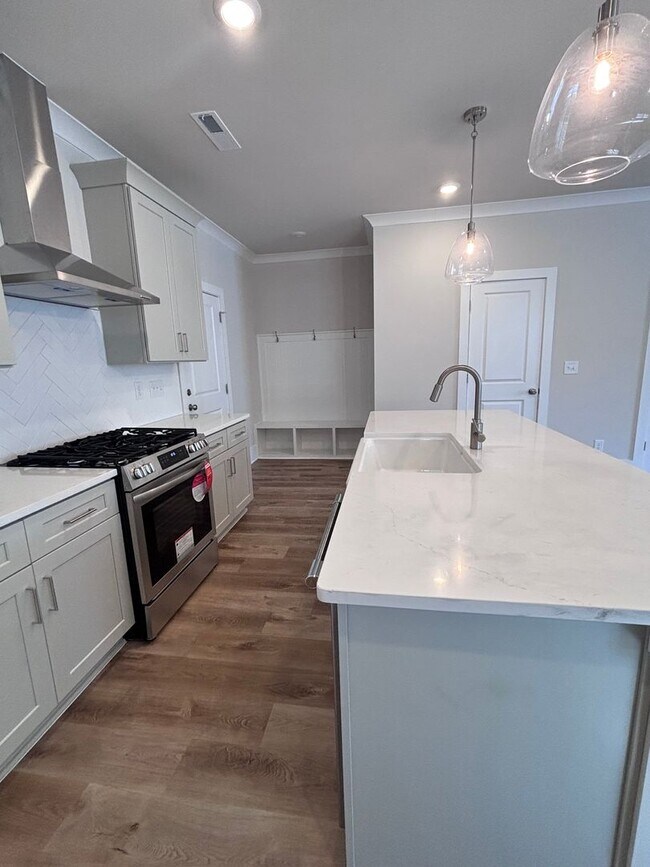 Building Photo - Brand new three-bedroom, 2.5-bath townhome