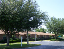 Primary Photo - Colonial Pines Apartments