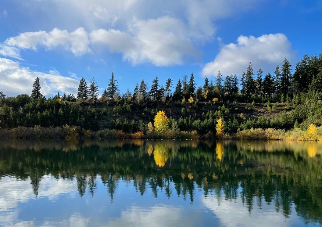 Lake within walking distance - 15458 SW Mallard Dr