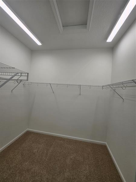 Building Photo - 4087 Longwood Lake Sq