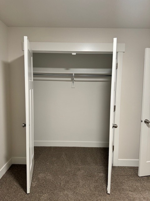 Secondary bedroom closet - 1625 W Talus Ridge Dr