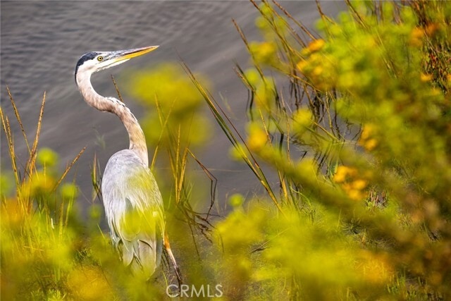 Building Photo - 1008 Delaware St