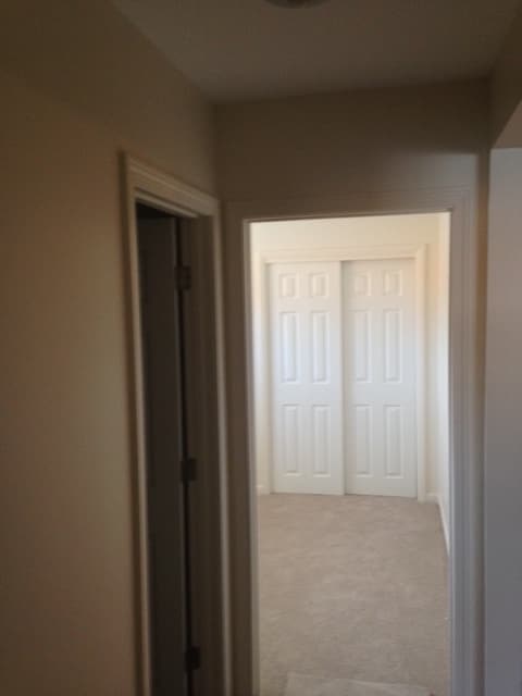 Building Photo - 22 Daley St