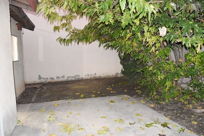 Building Photo - Cypress (125-127) South