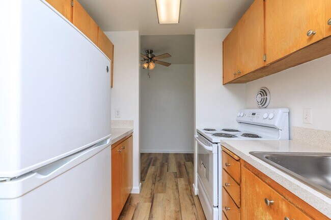 Interior Photo - Tiki Apartments
