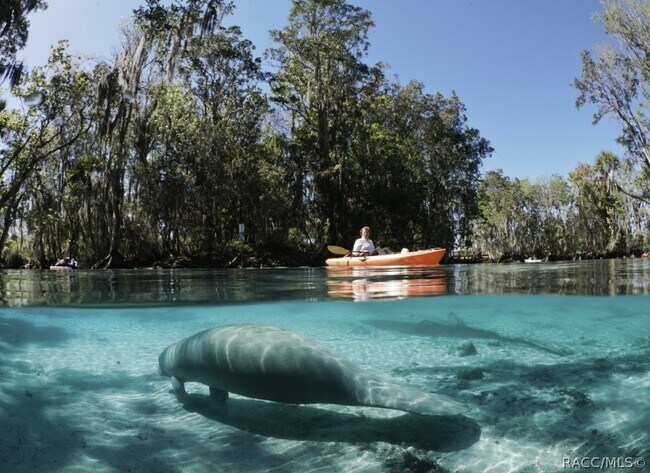 Building Photo - 1063 W Diamond Shore Loop