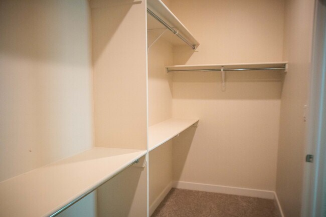 Building Photo - 3007 San Jenaro Dr