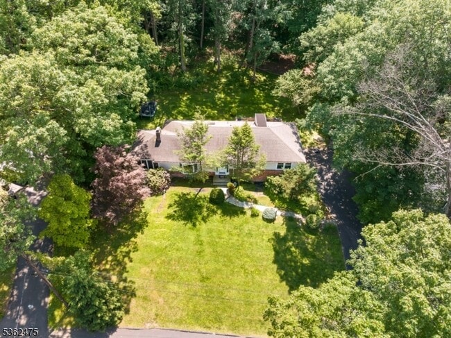 Building Photo - 58 Harrison Dr
