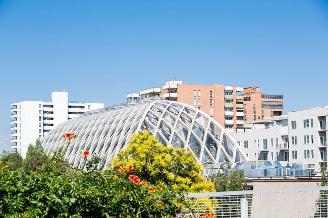 Building Photo - 1364 Vine St