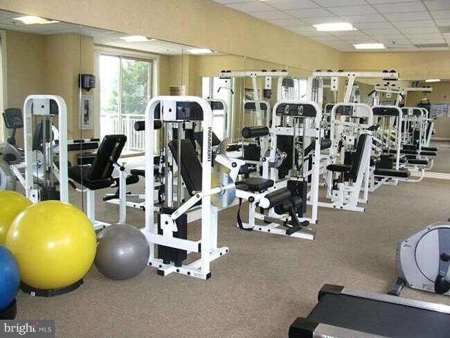 Building Photo - 2726 Gallows Rd