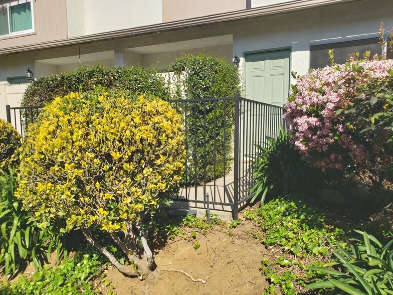 Front Door - 1360 Alessandro Dr