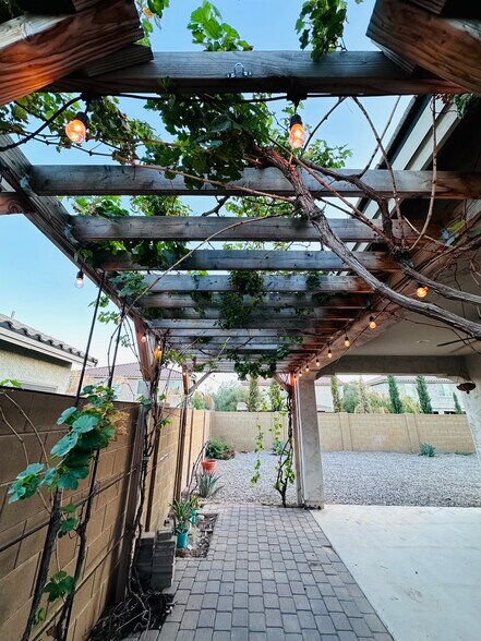 Pergola with grape vines and lights - 18215 W Townley Ave