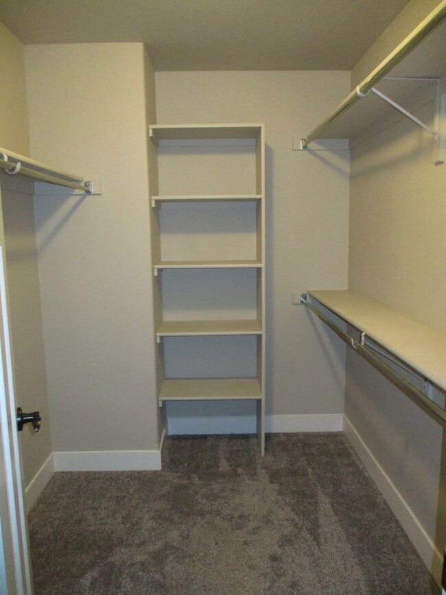 Building Photo - Beautiful, Dog Friendly - 3 Bedroom, 2.5 B...