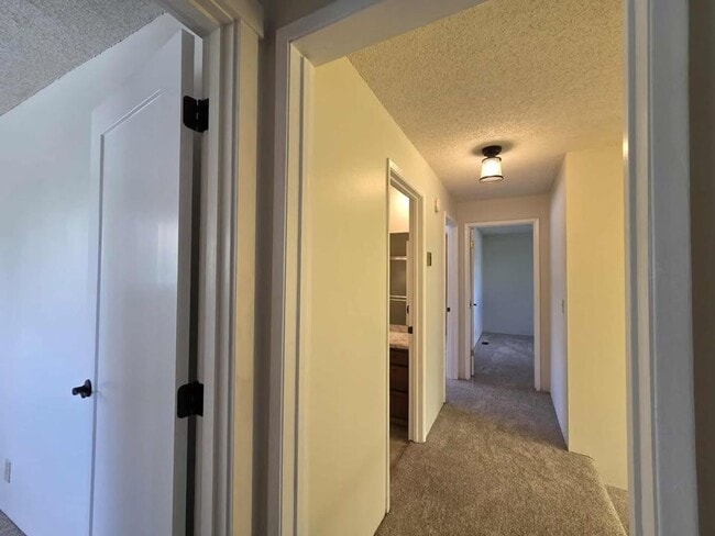 Building Photo - HUGE Number 2 Canyon ~ ~ 4 bedroom, 3 bath...