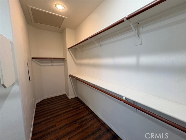 Building Photo - 12549 Tejas Ct