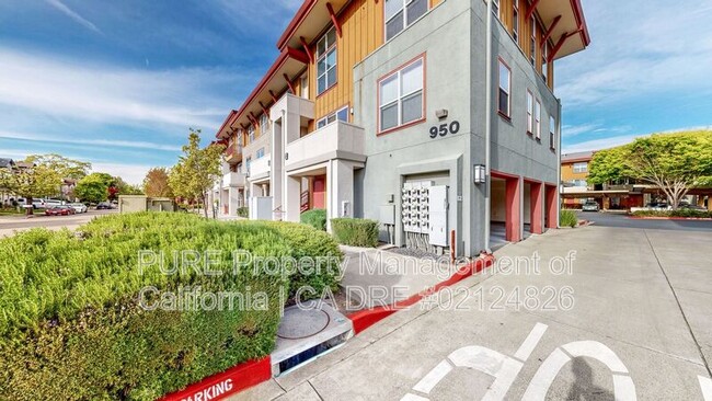 Primary Photo - 950 Campoy St